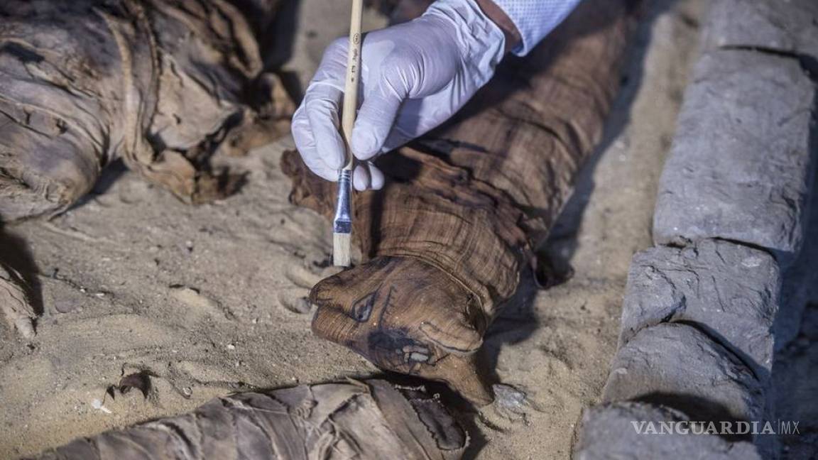 Hallazgo de felino momificado sorprende a arqueólogos
