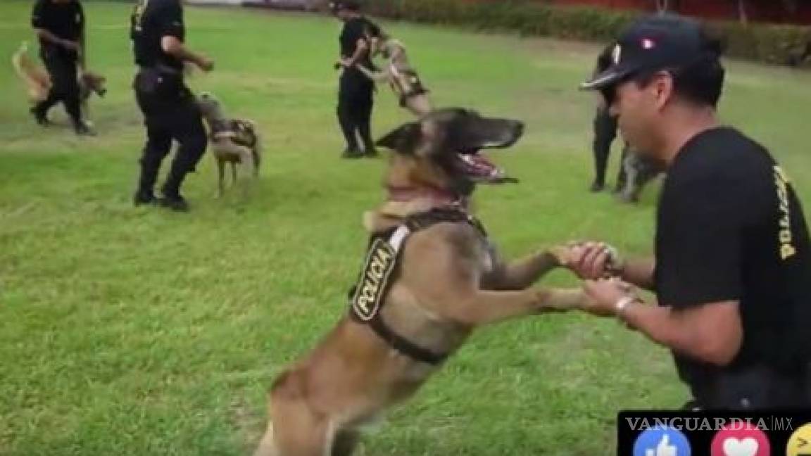 Policías de Perú bailan con sus perros al ritmo del ‘pasito perrón’