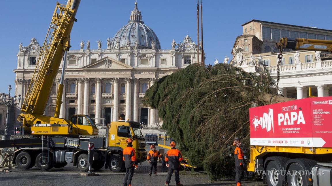 Árbol alemán de 25 metros llega al Vaticano para la Navidad