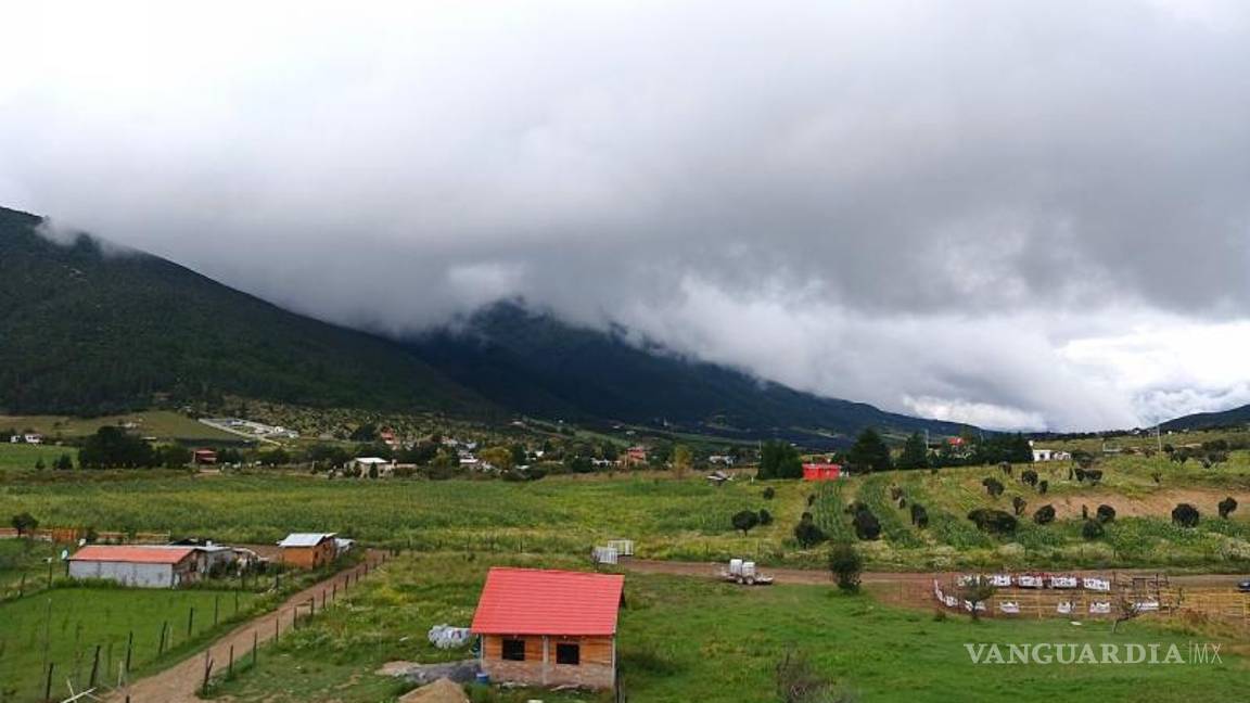 $!Durante los cuatro días del festival, personal de Ecología, Turismo y Seguridad Pública supervisará el respeto a las normas, el manejo de basura y la seguridad de los asistentes.