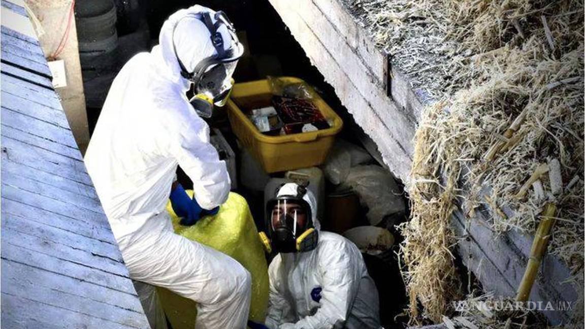 $!Así eran los laboratorios de ‘Los Chapitos’ en España; capturan a 16, incluyendo un químico