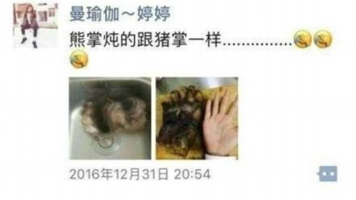 Mujer china presume recetas con pata de oso; policía inicia investigación