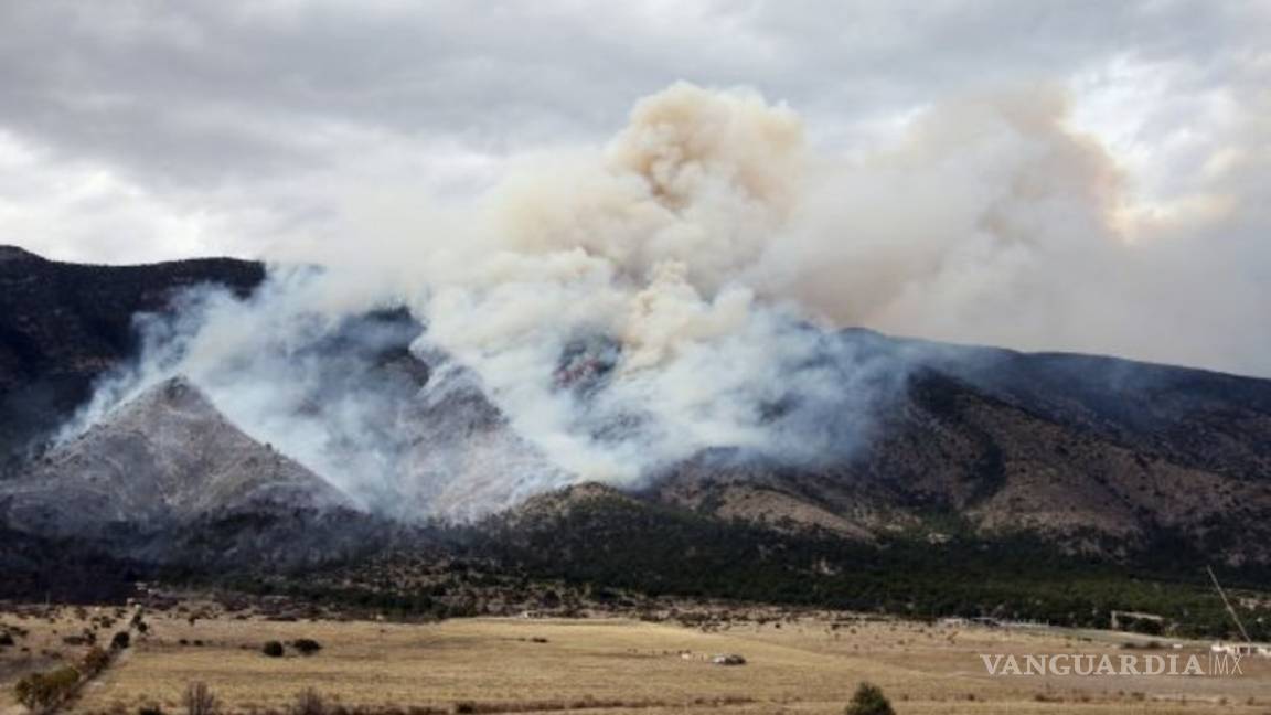 Fue provocado incendio en la Sierra del Ejido Diamante, de Arteaga