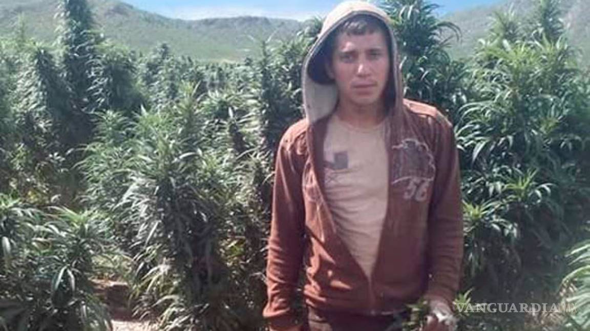 $!Desaparecidos sembraban droga, según su Facebook