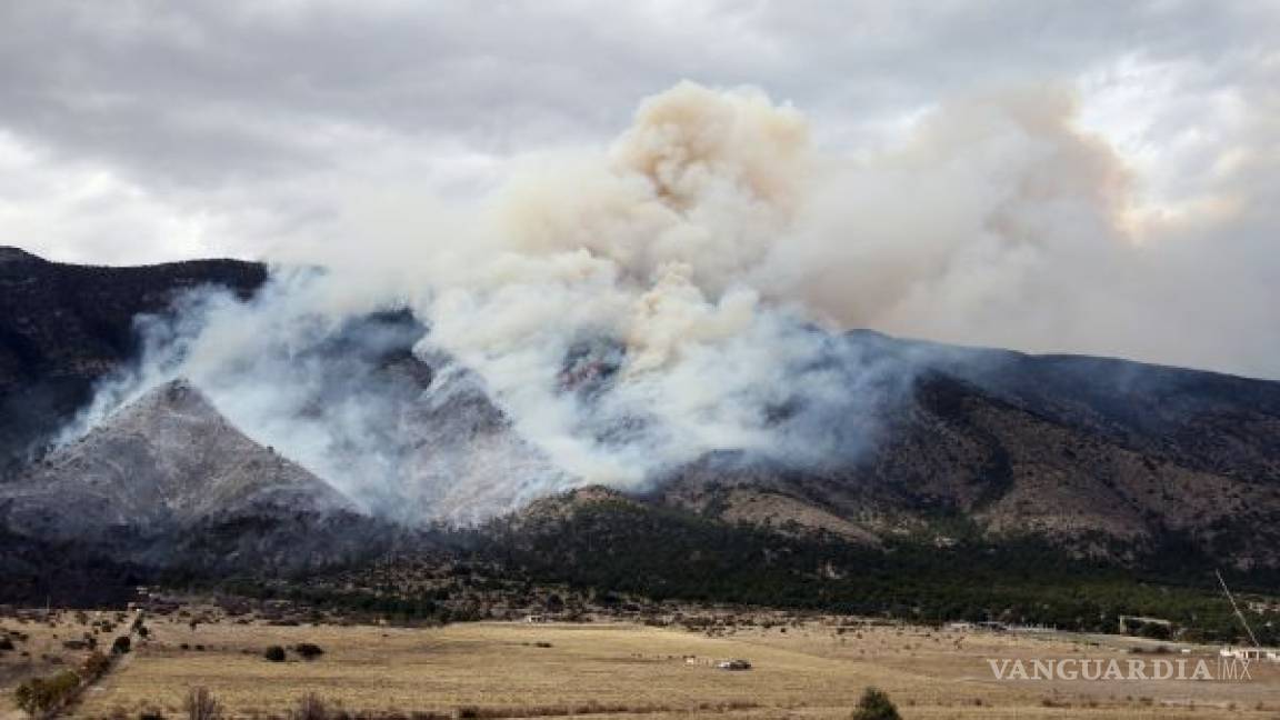 Devasta fuego 150 hectáreas de Sierra Zapalinamé en Coahuila; fue provocado: Medio Ambiente