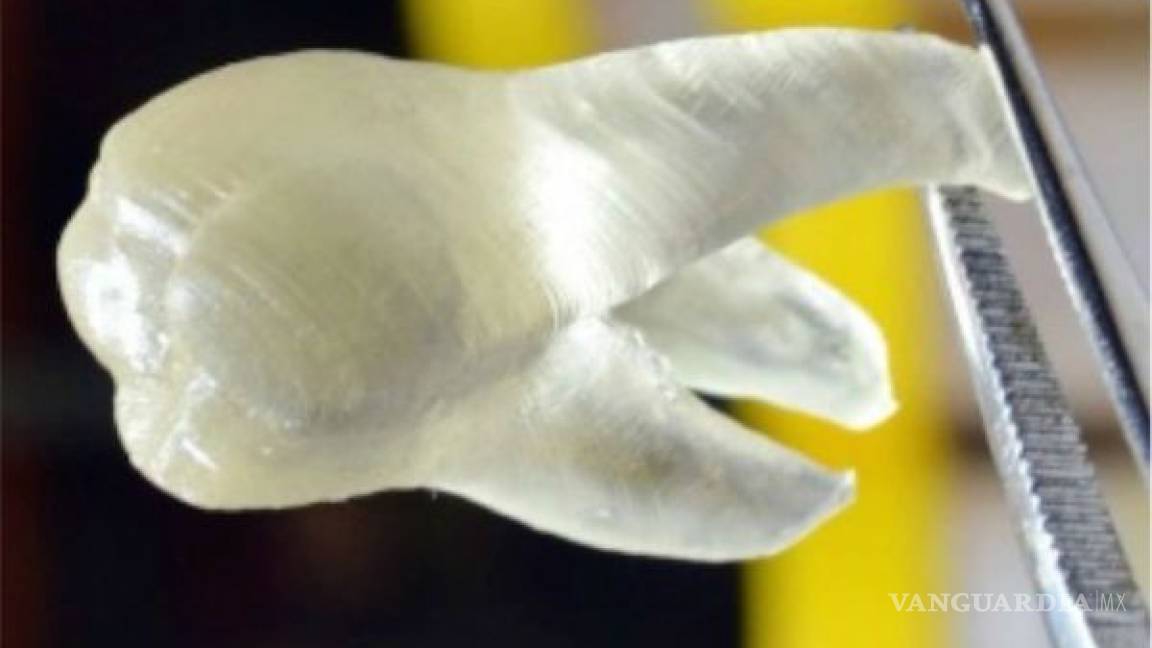 Crean dientes en 3D para combatir la placa bacteriana