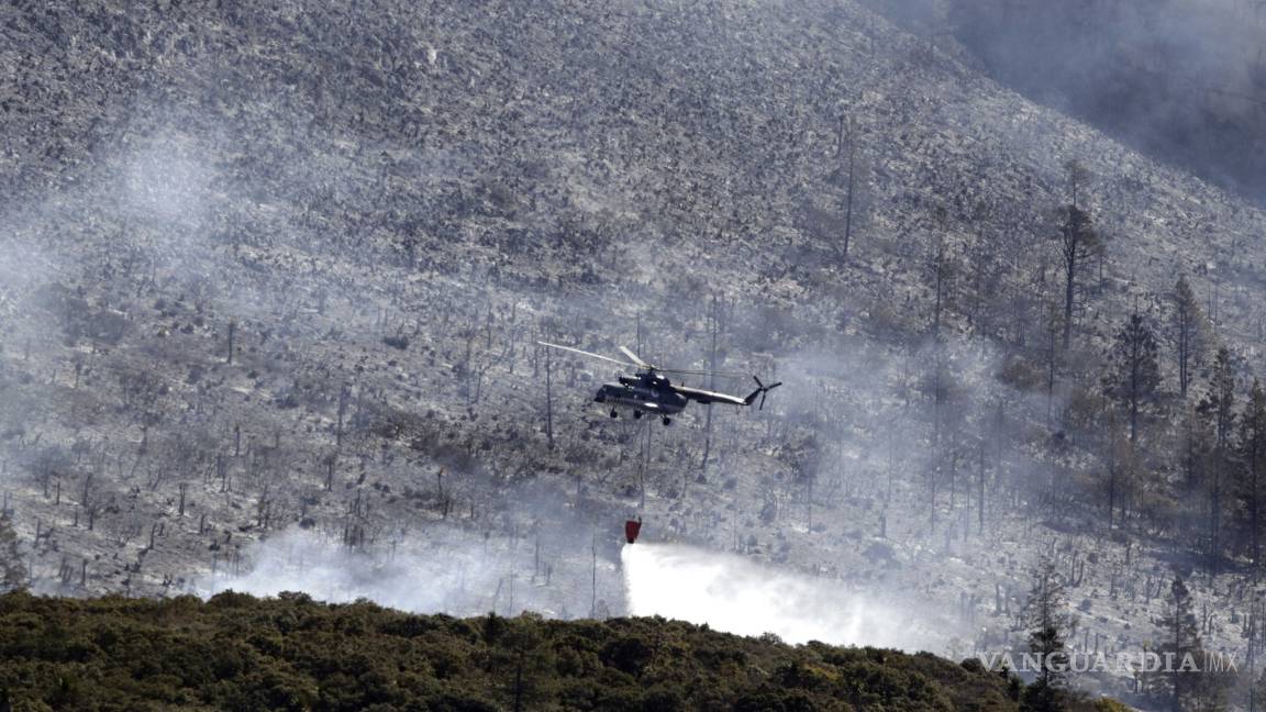 En pleno incendio, apagan 8 fogatas en la Sierra de Arteaga