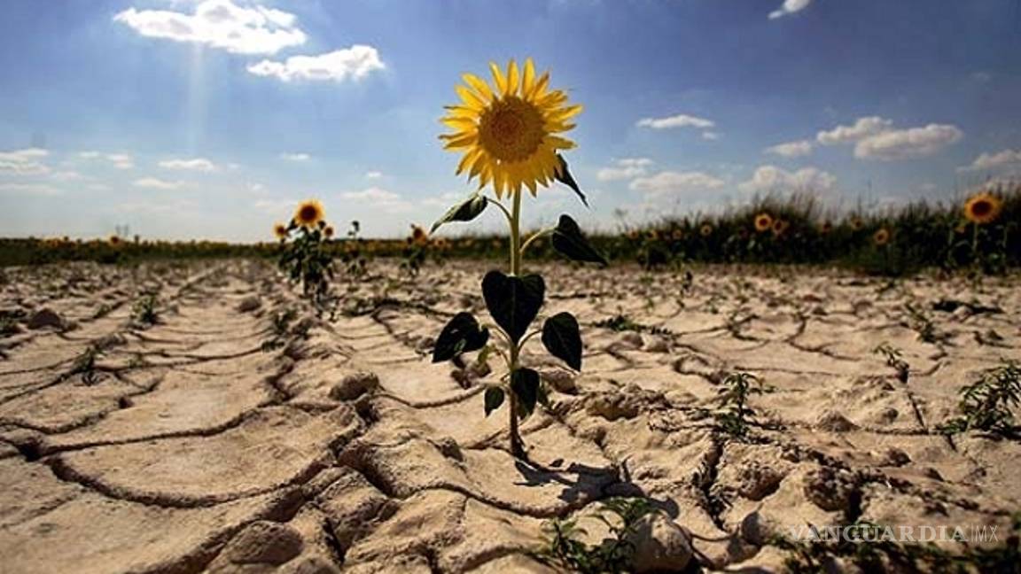 $!Prevé ONU nuevo récord mundial de temperatura en 2016