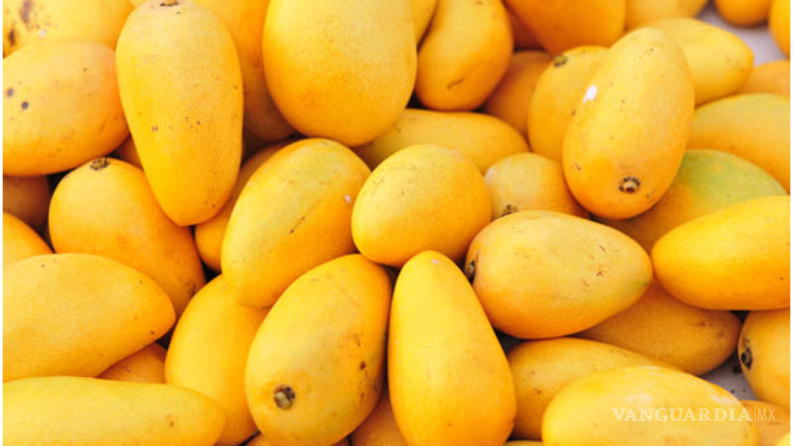 Mexicanos colocan 12.5 toneladas de mango en EU
