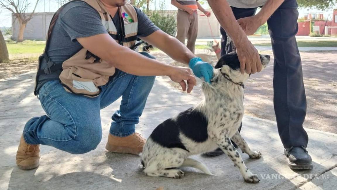 Anuncia Secretaría de Salud de Coahuila la segunda semana nacional de vacunación antirrábica