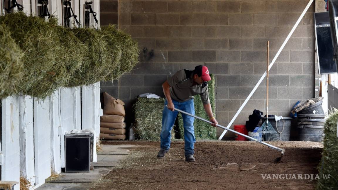 $!Preocupa al hipismo de EU la política inmigratoria de Trump