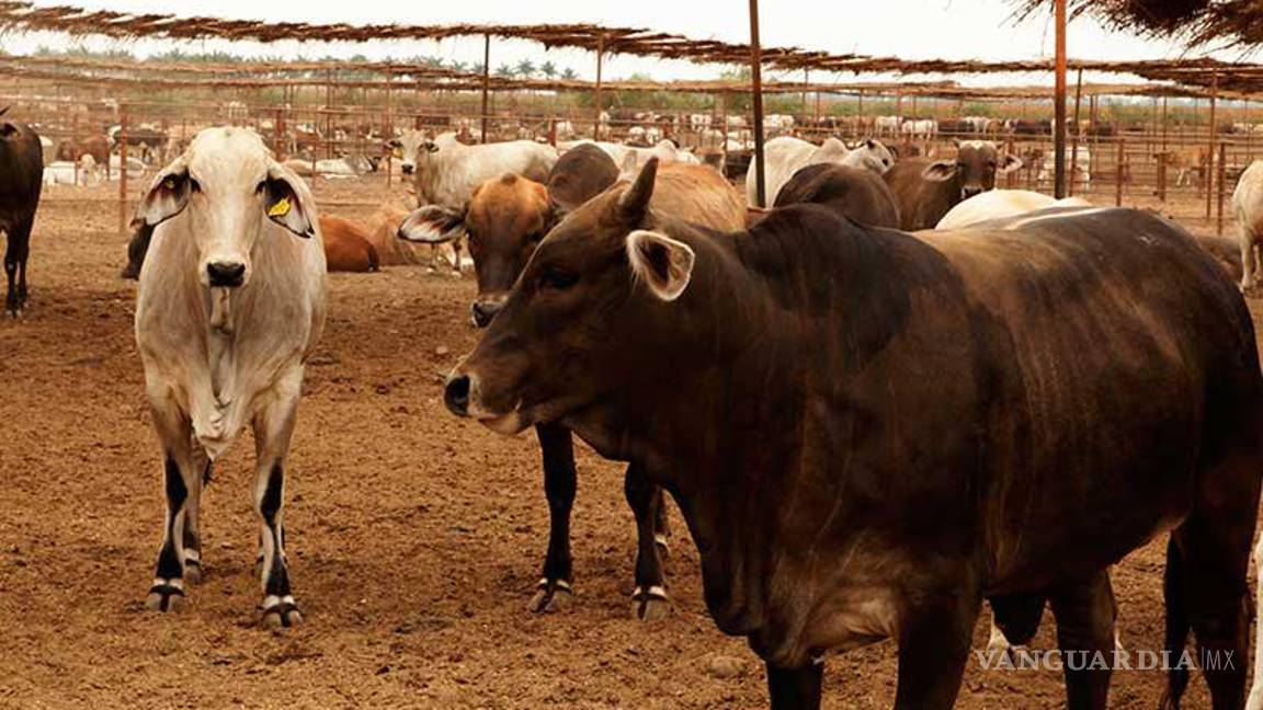 Logra Sader nuevos acuerdos con USDA respecto a combate al gusano barrenador