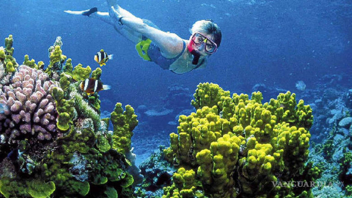 En riesgo, el segundo arrecife más grande del mundo, en Quintana Roo