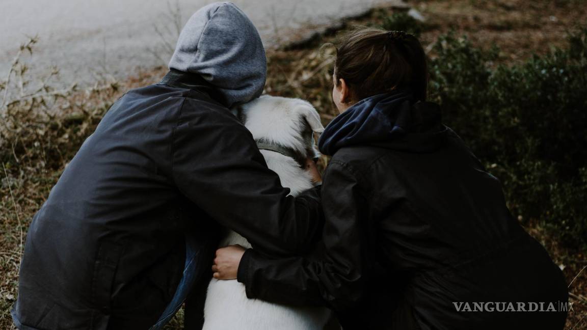 $!Se especifican las obligaciones de las personas responsables con relación a sus animales de compañía.