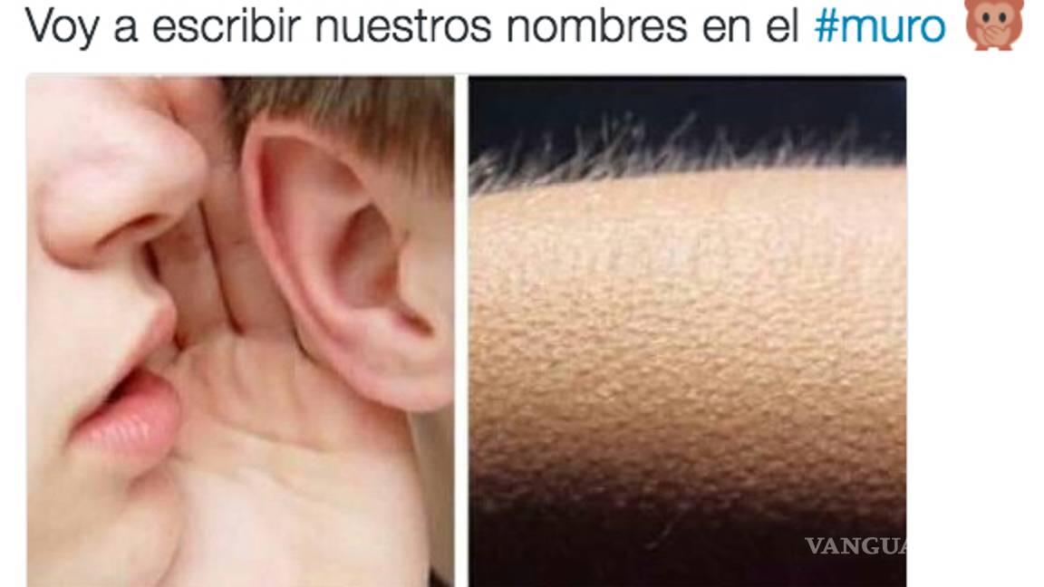 $!Trump hace oficial la construcción del muro y los usuarios... construyen memes