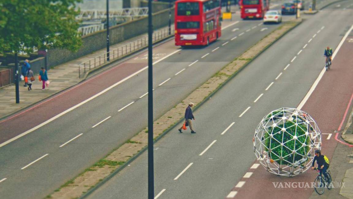 $!Hortum machina, el jardín errante