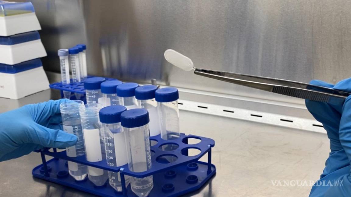 $!Dispositivo centinela en el Laboratorio del Dr. Timothy Kieffer. Foto de University of British Columbia.