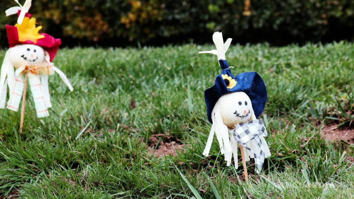 $!La respuesta puede variar según tus preferencias personales y el tipo de decoración que planees.