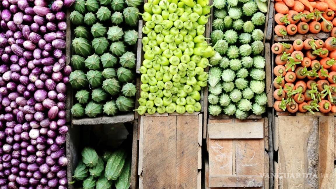 $!Una mirada de gorila gana el concurso de fotografía de viaje National Geographic 2019, conoce a los ganadores
