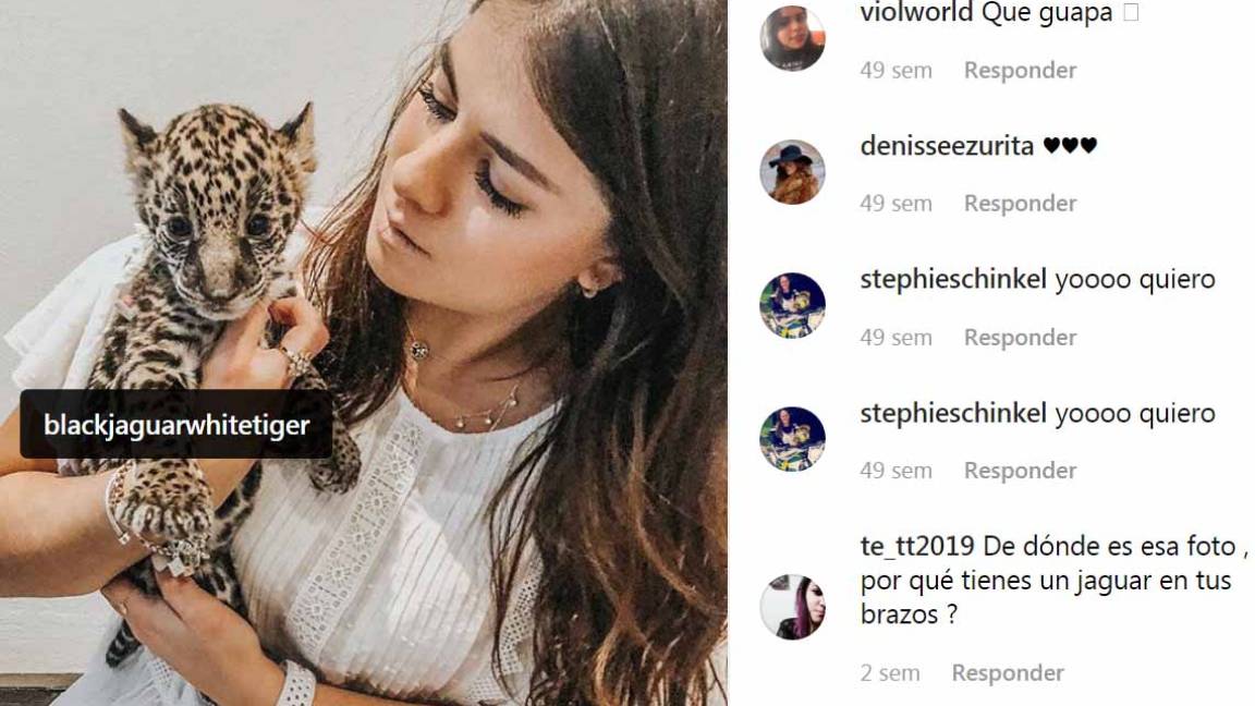 $!Hija de Peña Nieto es criticada por aparecer con animales exóticos en Instagram