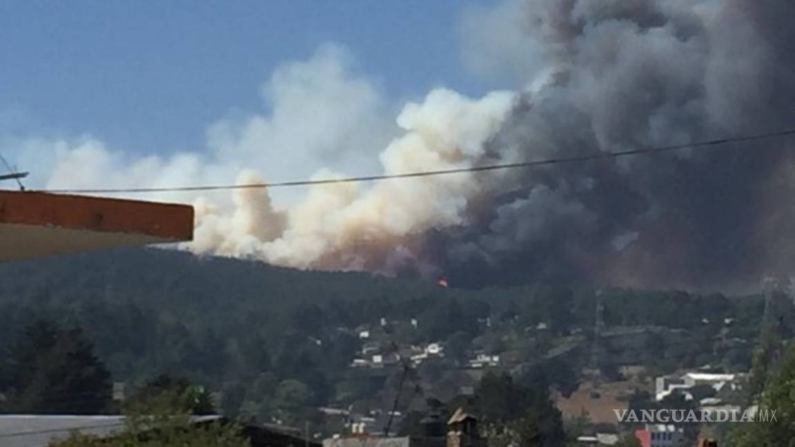 $!Incendio forestal, fuera de control en Veracruz