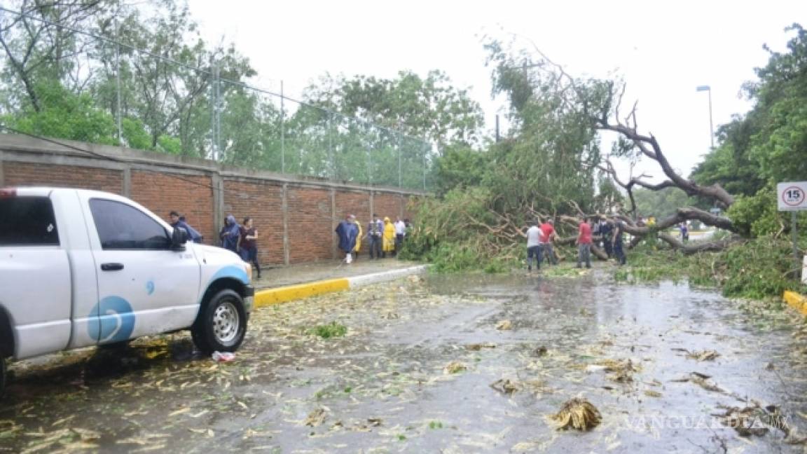 Serios daños al tendido eléctrico en 10 municipios de Sinaloa dejó a su paso la tormenta tropical Narda