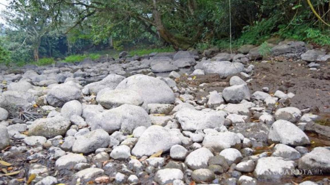 Reportan que un río se está secando en Veracruz
