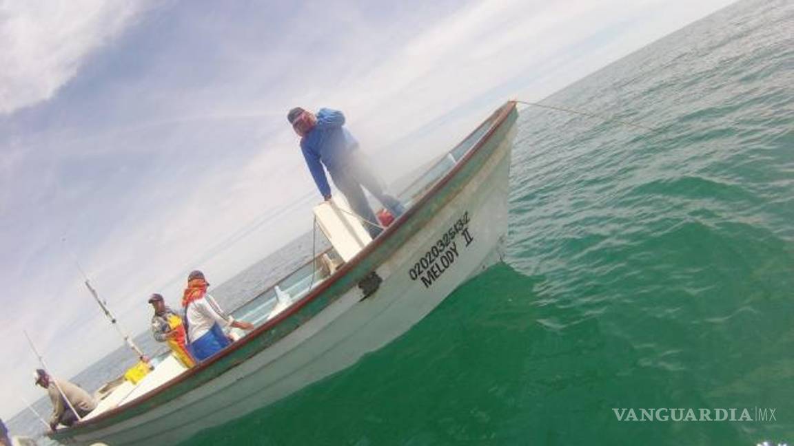 $!Locura entre cárteles por el control de la 'cocaína del mar'