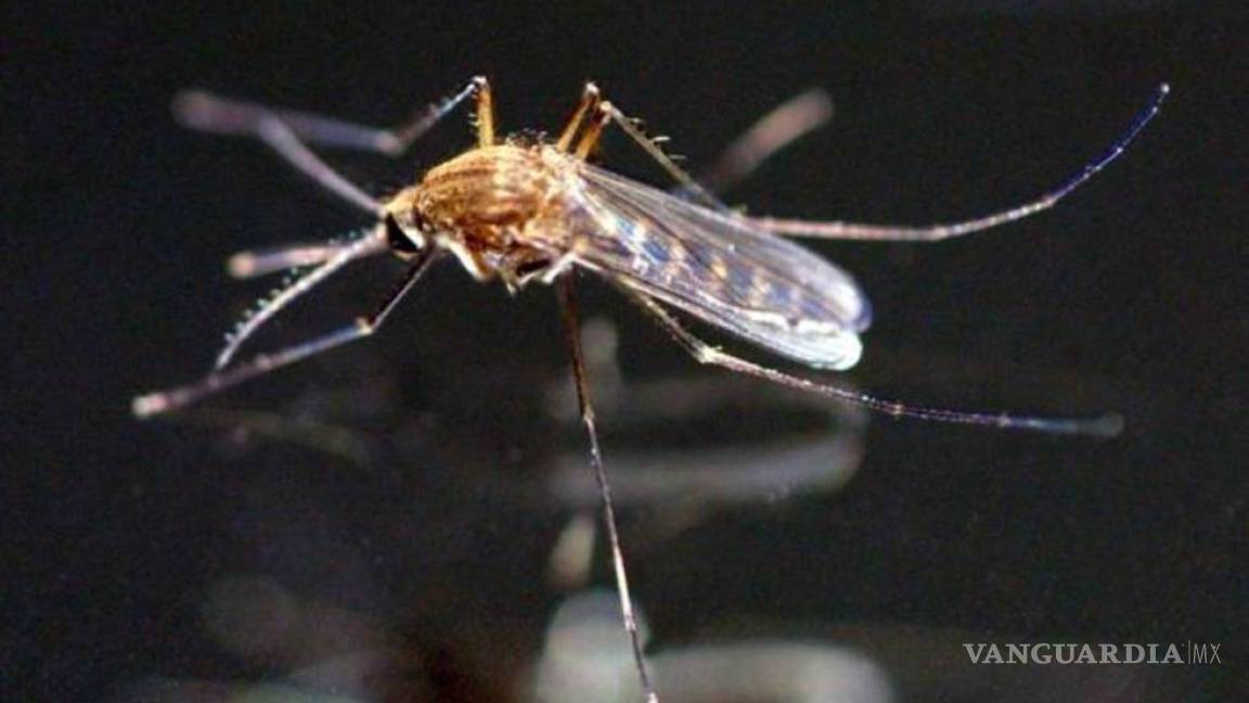 Se registra en Tabasco caso de zika