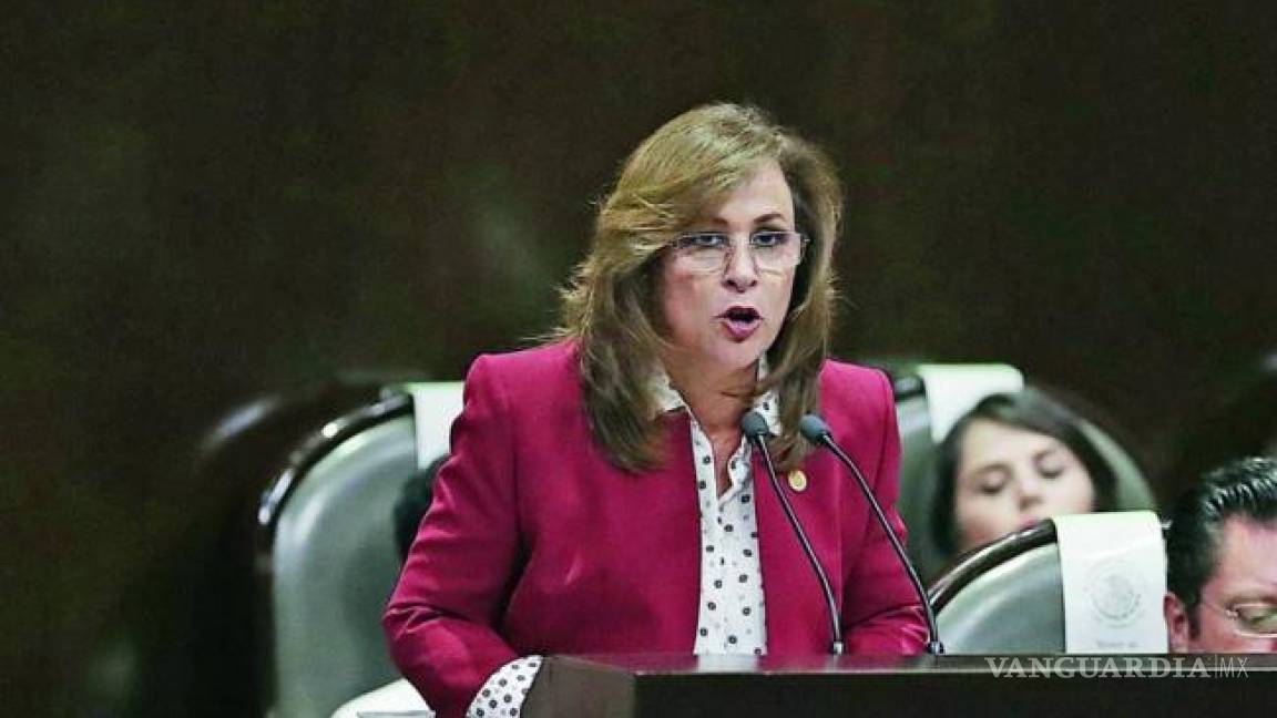 Diputada federal Rocío Nahle comparecerá en caso Cadena