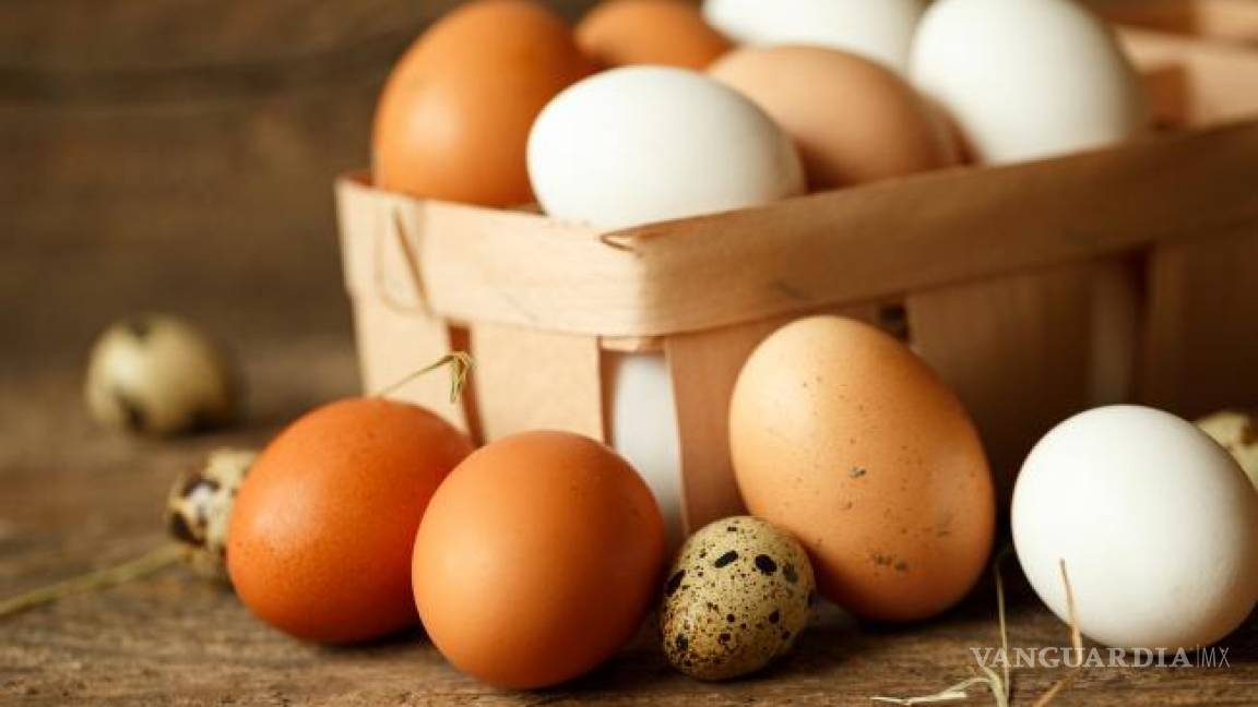 Hoy es el Día Mundial del Huevo, ¿qué tanto sabes de este alimento?