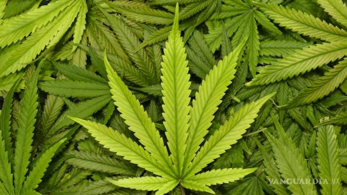 $!Jesusa Rodríguez compara el clítoris con la mariguana