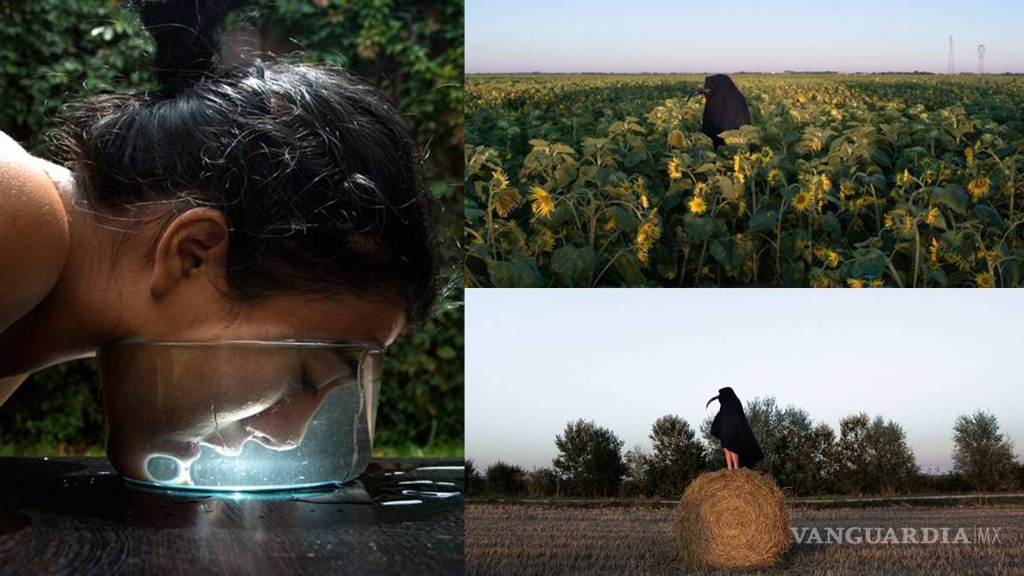 $!Aplauden libro de Liza Ambrossio, impreso en Medio Pliego