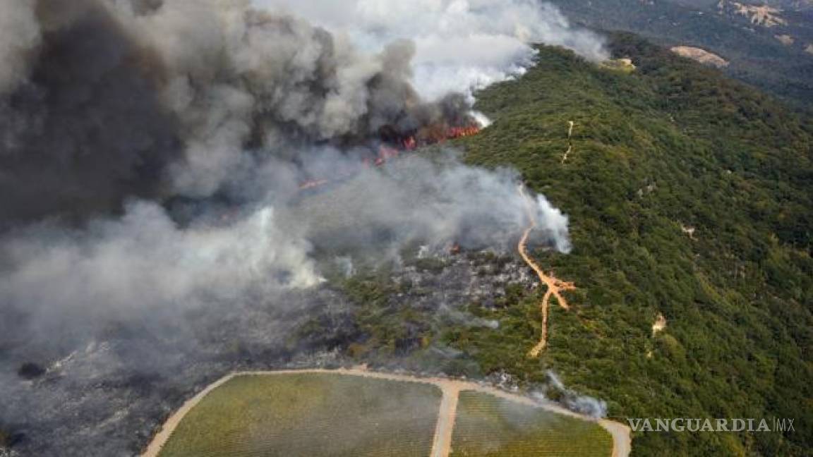 Diez muertos, 20 mil evacuados y cuantiosos daños dejan incendios en zona vinícola de California