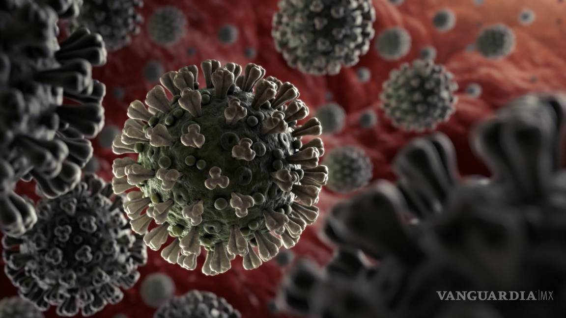 Científicos aseguran que coronavirus se propagó muy rápido por todo el mundo a finales de 2019