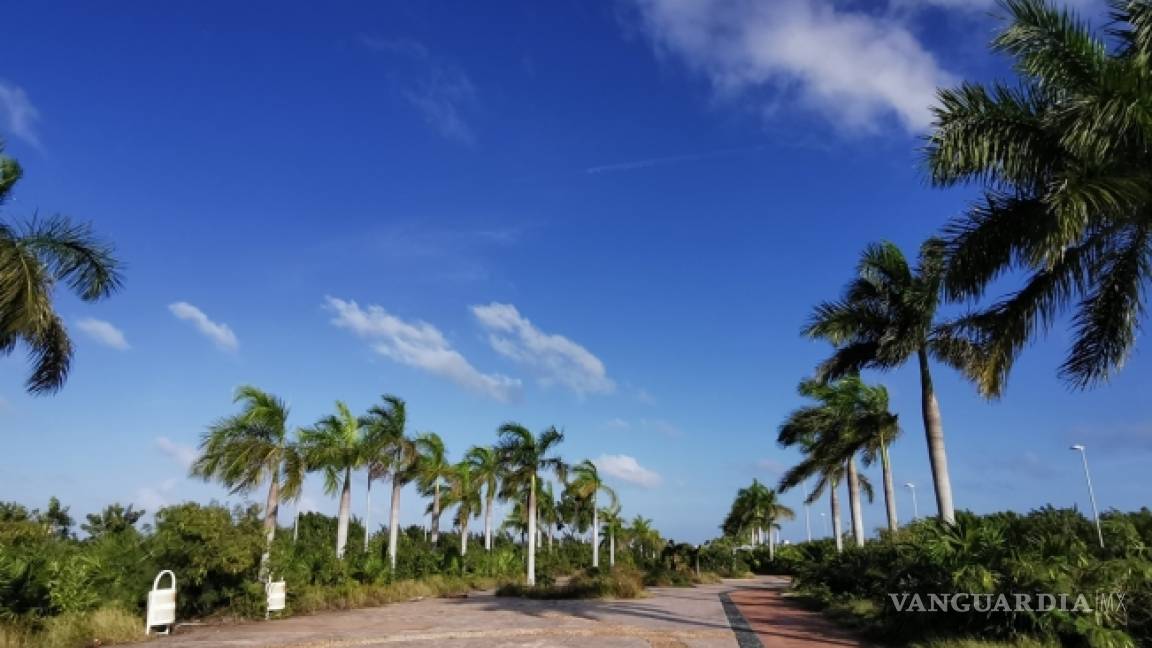 Pierde Fonatur ante ambientalistas en Cancún; deberá restaurar los humedales dañados