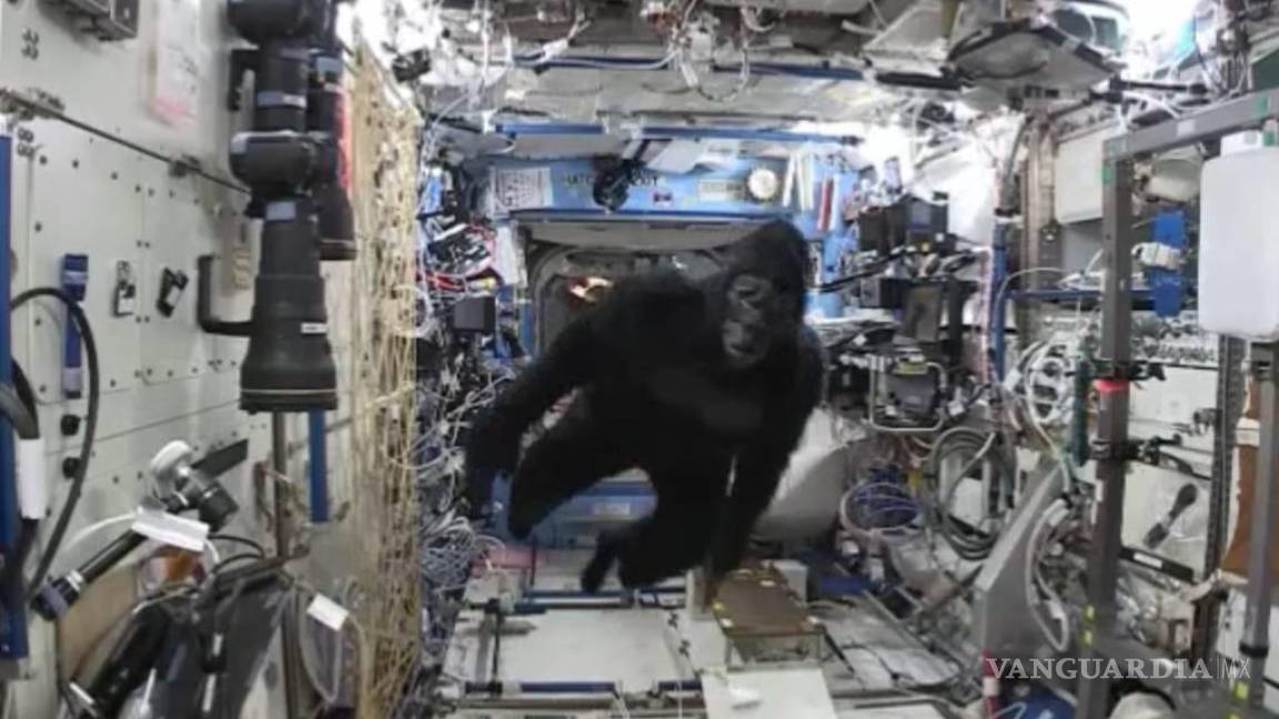 ¡Un gorila en el espacio! Astronauta realiza broma a compañeros