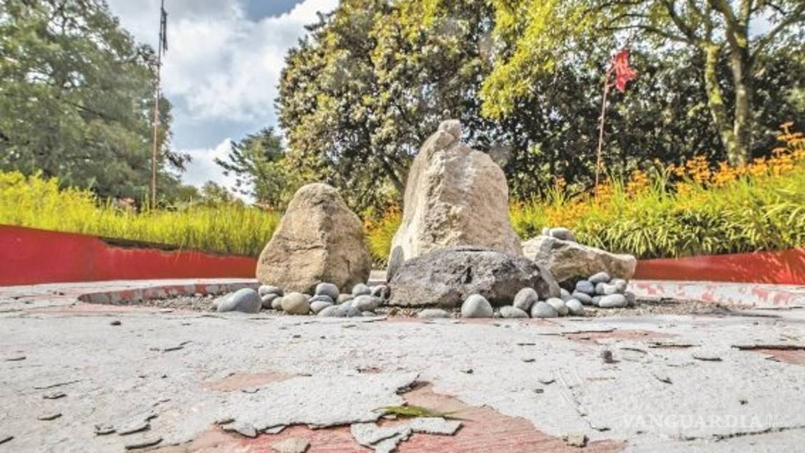 $!Arrasarán con Jardín Botánico de Chapultepec para construir nuevo museo