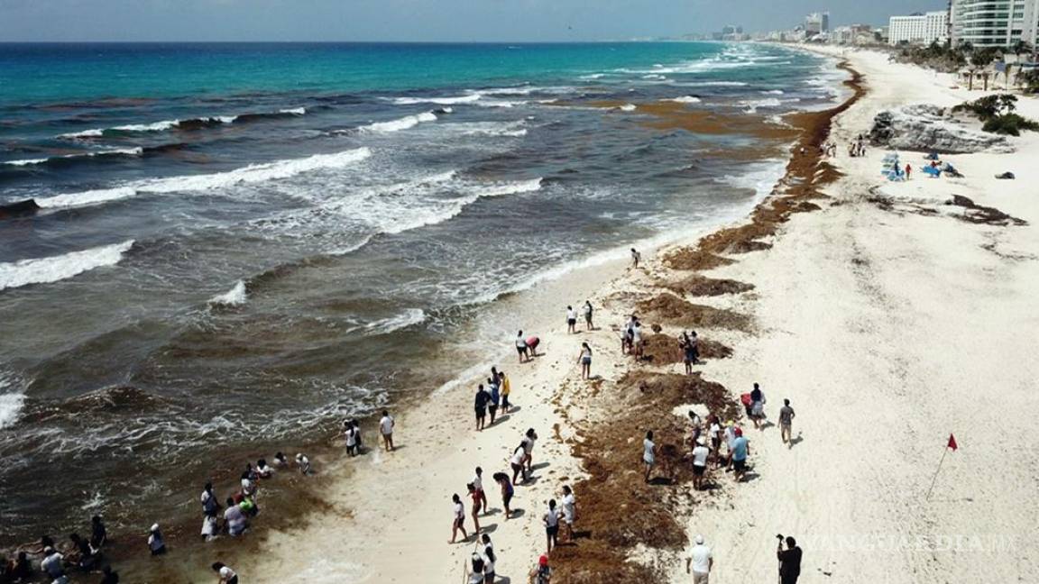Apenas 5 de 80 playas se encuentran libres de sargazo en Quintana Roo