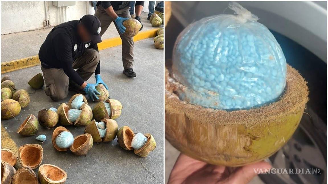 Sonora: van a proceso dos por traslado de fentanilo escondido en cocos