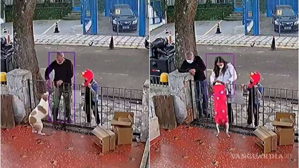 Familia le regala suéter nuevo a perrito que fue asaltado; video se vuelve viral