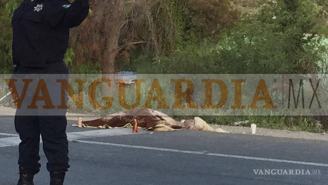Auto 'fantasma' mata a joven en la carretera a Zacatecas