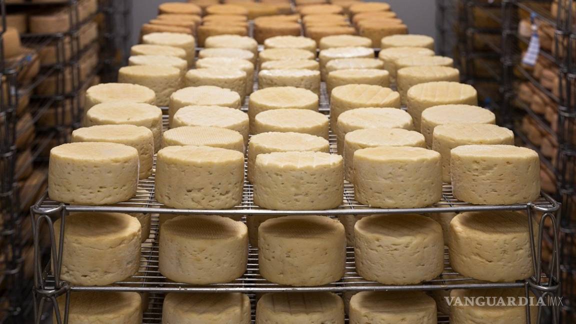 Te decimos como distinguir el queso real de los “plastiquesos”
