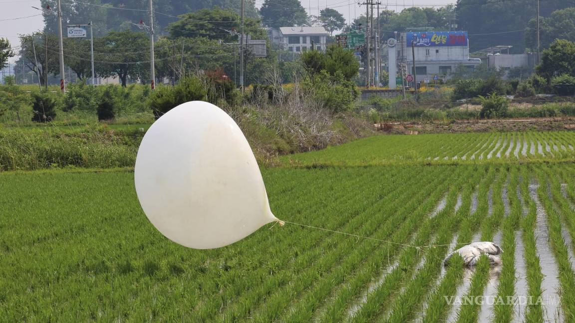 Lanzan globos de basura en Corea del Sur