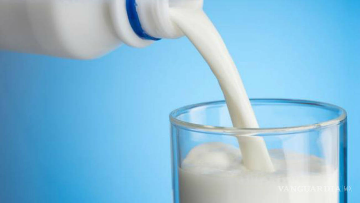 Descubren microplásticos en 23 marcas de leche vendidas en México