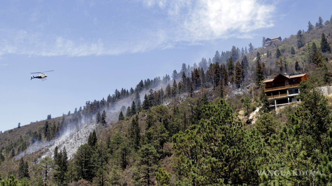 Luchan 163 brigadistas contra incendio forestal en sierra de Arteaga