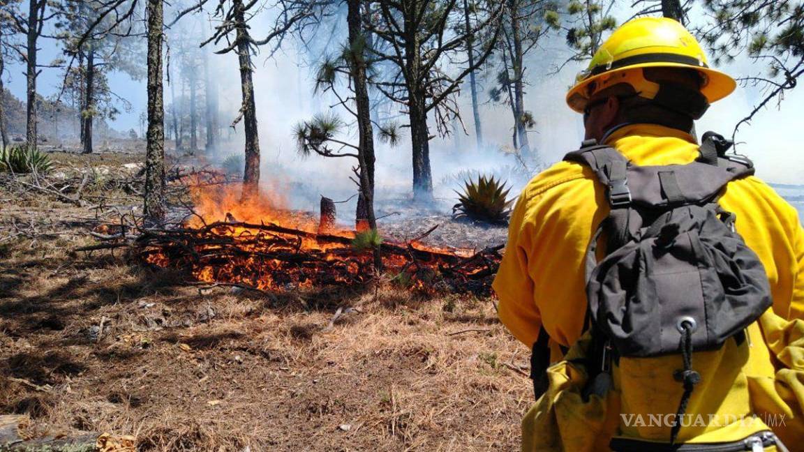 Pese a lluvias, aún se presentan incendios forestales en Coahuila