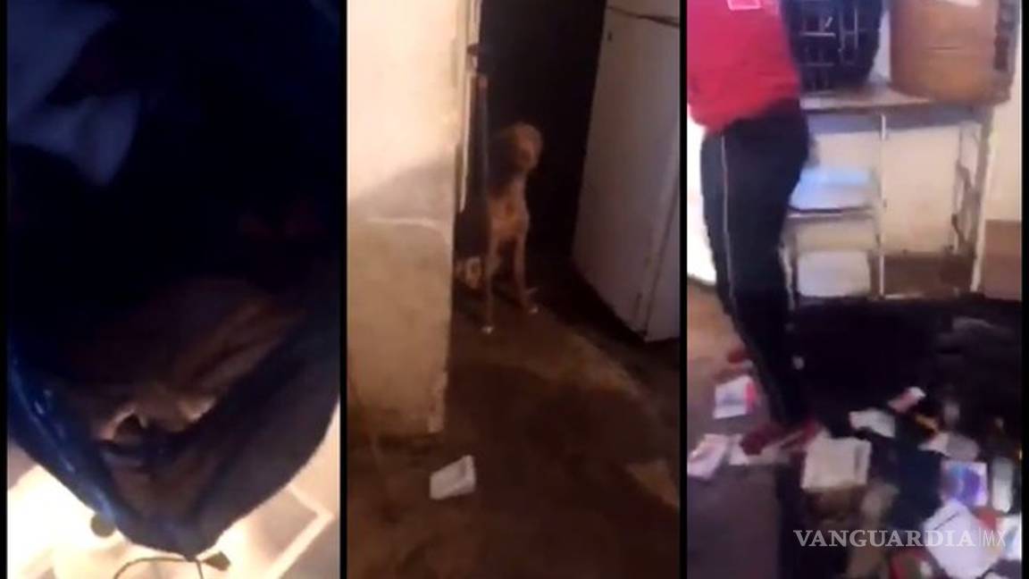 $!Mujer secuestraba perros para comérselos y vender su carne, en Puebla