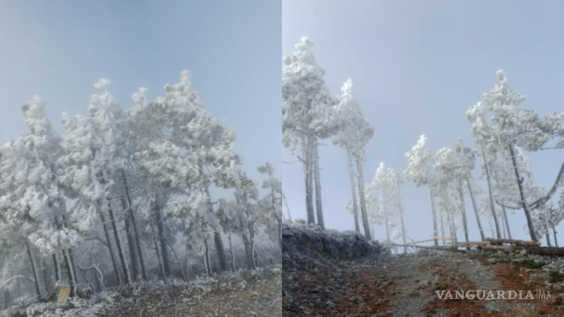 $!La presencia de aguanieve fue reportada en las sierras de Iturbide y Galeana, al sur del estado de Nuevo León.