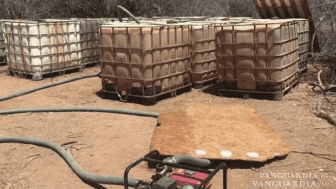 $!En este 2024 el ritmo es mayor que 2023, año en el cual se tuvo un aumento de 150 por ciento en comparación con el año previo.